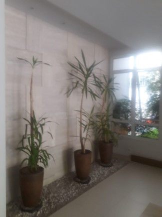 Imagem Apartamento com 3 Quartos à Venda, 126 m² em Cambuí - Campinas