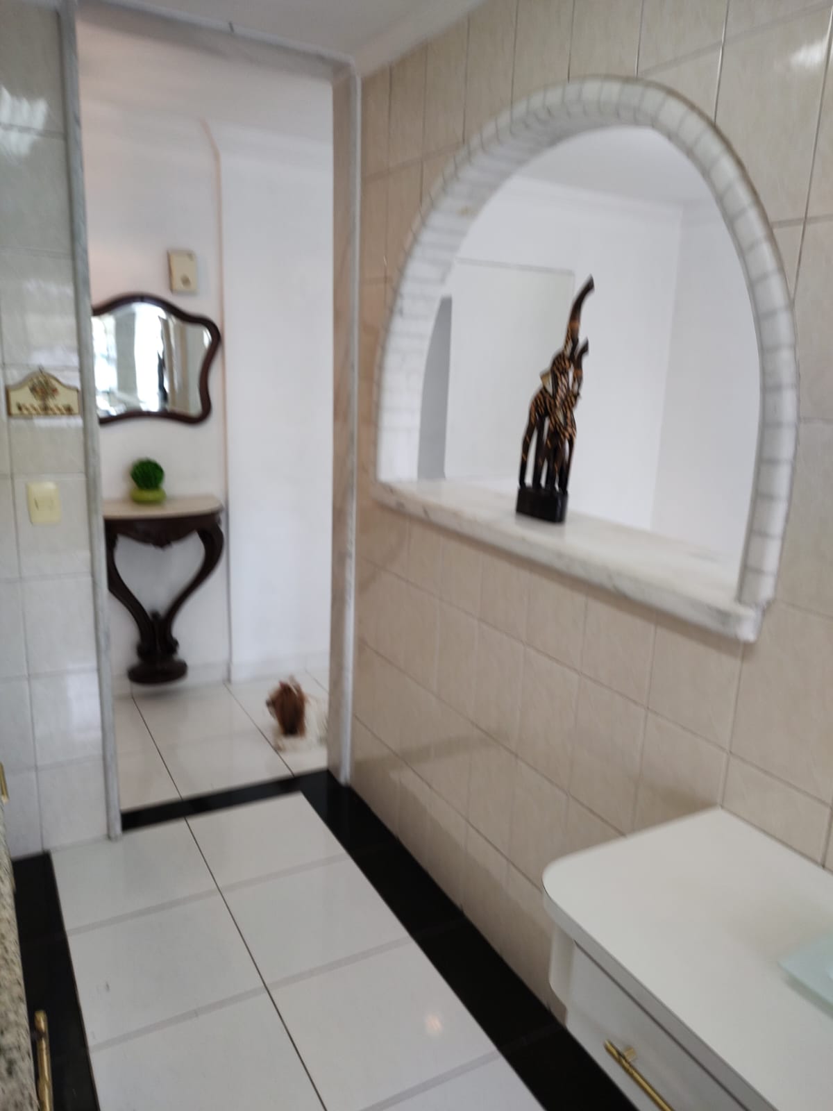 Imagem Apartamento com 2 Quartos à Venda ou Locação, 50 m²em Brás - São Paulo