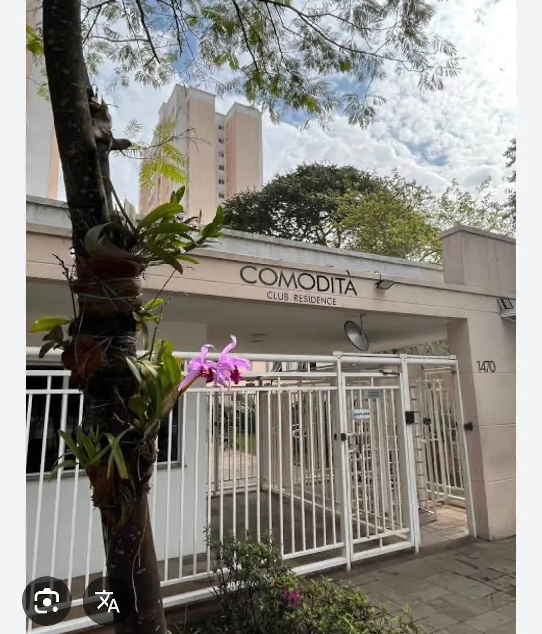 Imagem Apartamento com 3 Quartos à Venda, 76 m² em Vila das Belezas - São Paulo