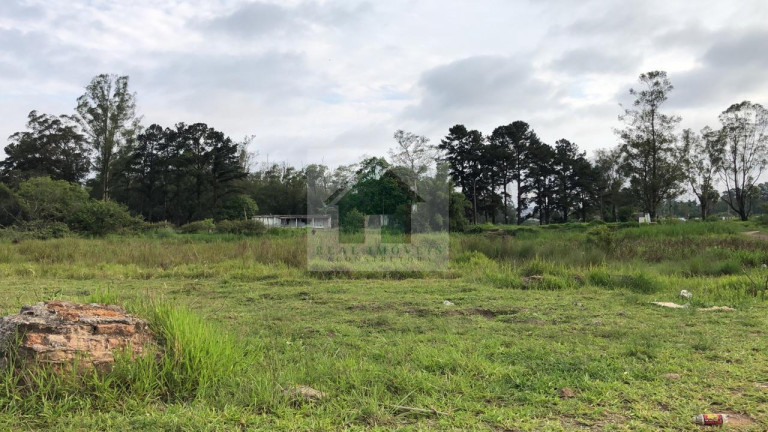 Imagem Terreno à Venda, 49.840 m² em Jardim Izildinha - Guarulhos