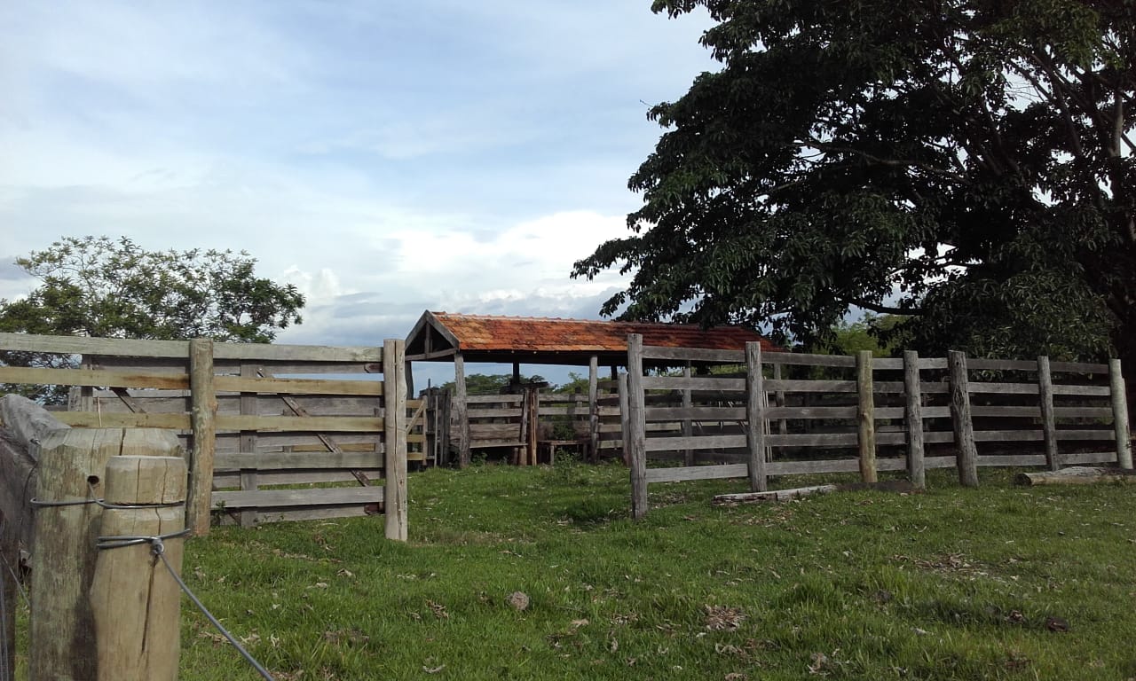 Imagem Fazenda à Venda, 74 Alq. SP em Área Rural de Álvaro de Carvalho - Álvaro de Carvalho