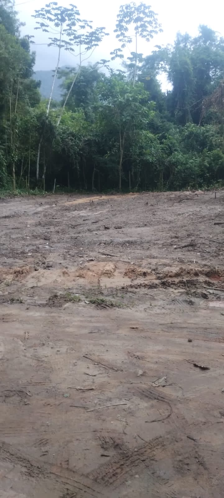 Foto do imóvel: Terreno em Condomínio à Venda, 570 m² em Itamambuca - Ubatuba