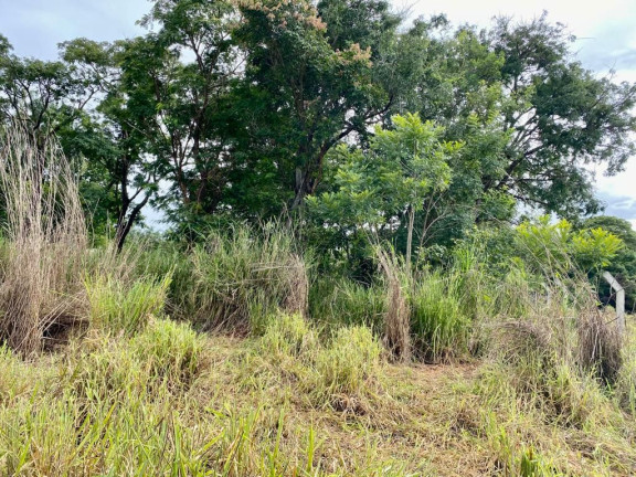 Imagem Chácara com 1 Quarto à Venda, 2.000 m² em Chácaras de Recreio Samambaia - Goiânia
