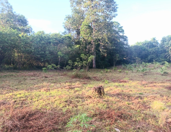 Imagem Chácara com 5 Quartos à Venda, 980 m² em Apeu - Castanhal
