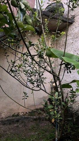 Imagem Chácara com 3 Quartos à Venda, 200 m²em Santa Cruz - Rio de Janeiro