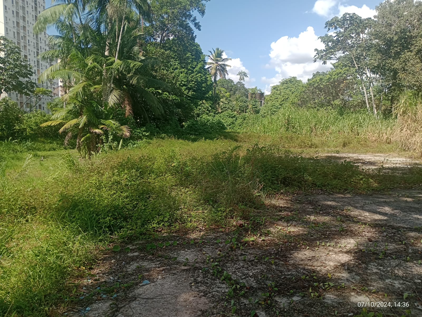 Imagem Terreno à Venda, 34 m²em Tenoné - Belém