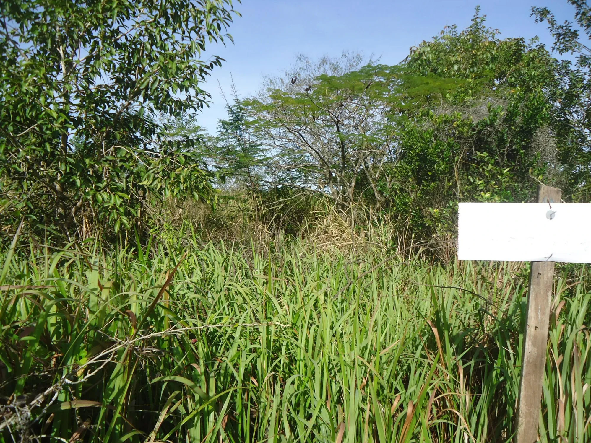 Imagem Terreno em Condomínio à Venda, 2100 m² em Ubatiba - Maricá