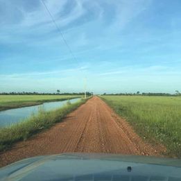 Imagem Fazenda à Venda, 8 HAem ZONA RURAL - Cocalinho
