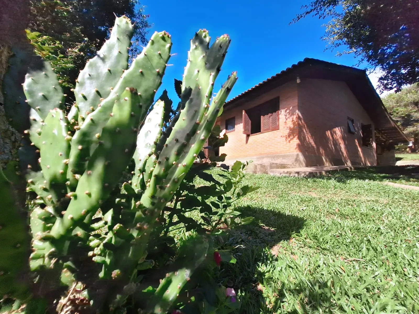 Imagem Casa de Condomínio com 3 Quartos à Venda, 80 m² em Pedancino - Caxias do Sul