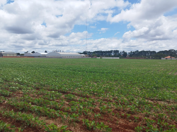 Imagem Terreno à Venda,  em Vila Industrial - Arapongas