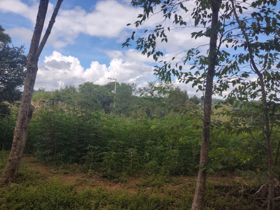 Imagem Chácara com 3 Quartos à Venda, 5.550 m² em AREIA BRANCA  - Agudos do Sul