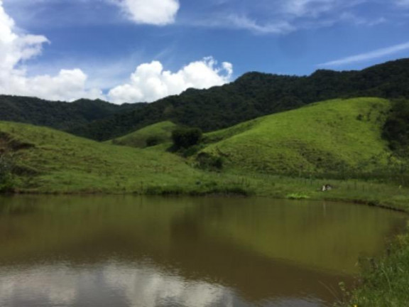 Imagem Fazenda à Venda, 20.000 m² em Vila Pontilhão - Cruzeiro