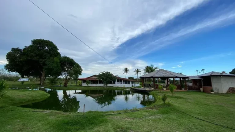 Imagem Fazenda à Venda, 455 HA em zona Rural - Santarém Novo