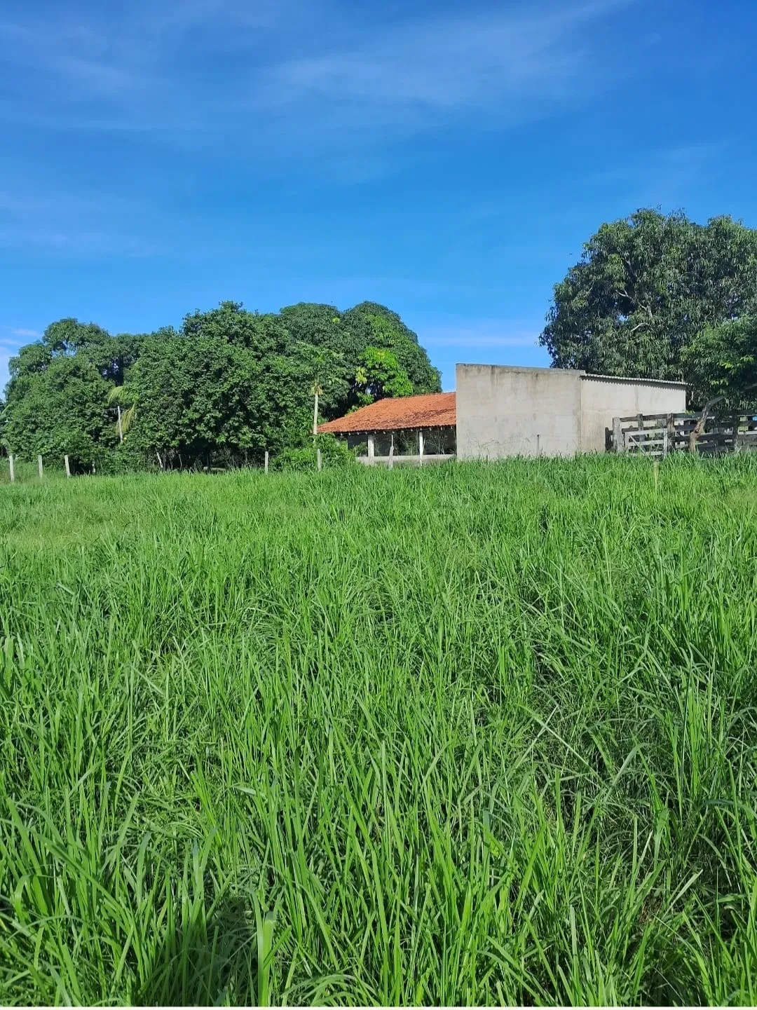 Imagem Chácara à Venda, 25000 m² em Poção - Cuiabá