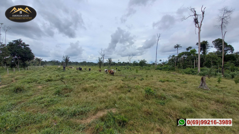 Imagem Fazenda à Venda,  em Zona Rural - Candeias do Jamari
