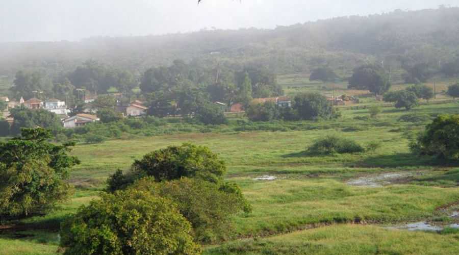 Foto do imóvel: Fazenda à Venda, 211 HA em  - Entre Rios