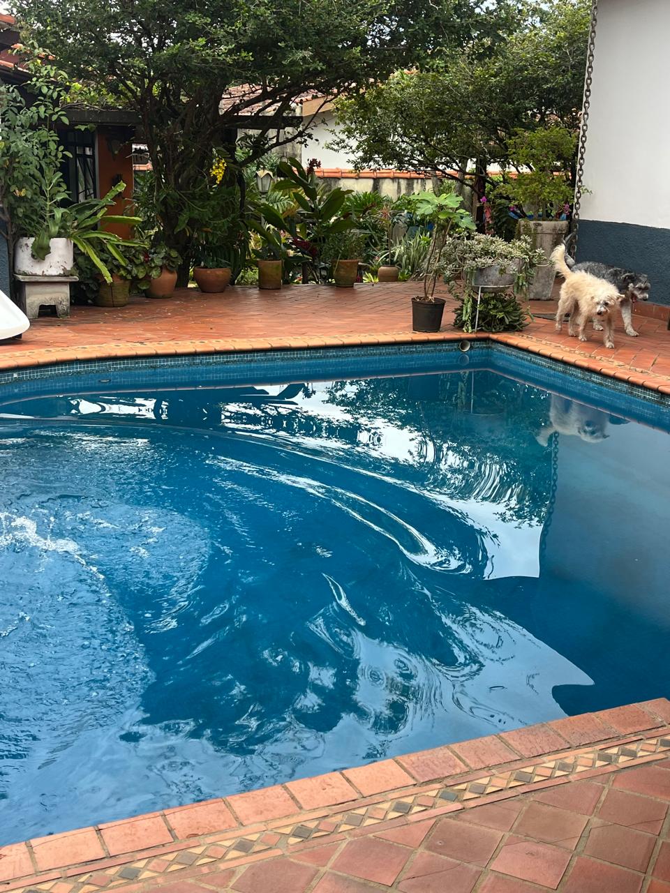 Imagem Ponto Comercial para Alugar, 750 m² em Jardim do Lago - Atibaia