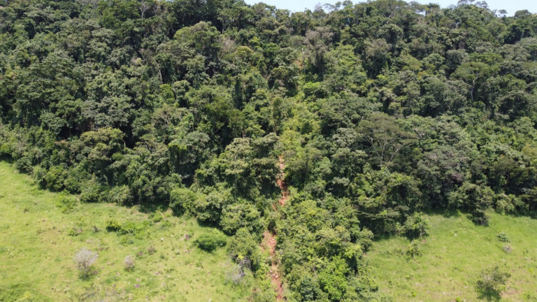 Imagem Terreno à Venda, 100.000 m² em Conjunto Habitacional Humberto Popolo - Botucatu