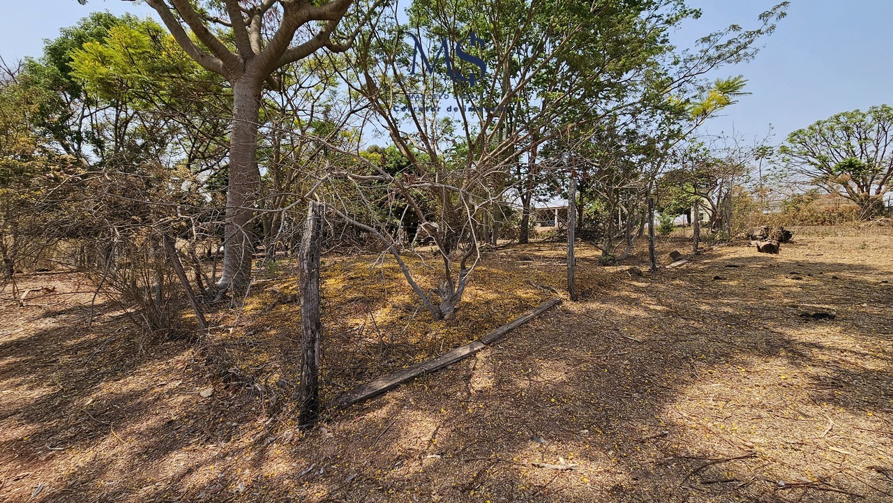 Imagem Fazenda à Venda, 151 HAem Paranoá - Brasília