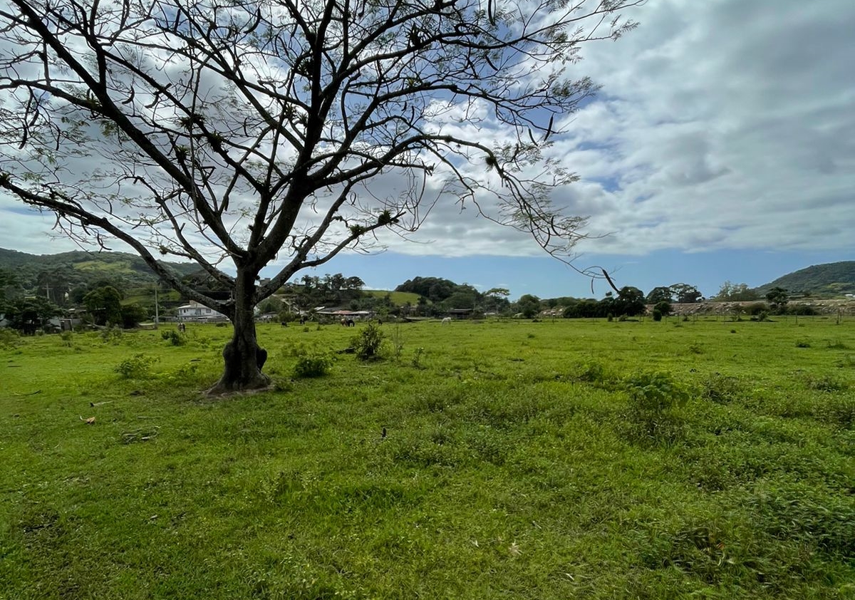 Imagem Terreno à Venda, 40 m²em Forquilhas - São José