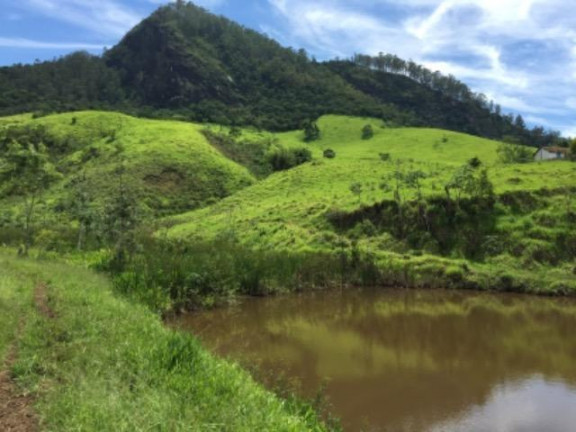 Imagem Fazenda à Venda, 20.000 m² em Vila Pontilhão - Cruzeiro