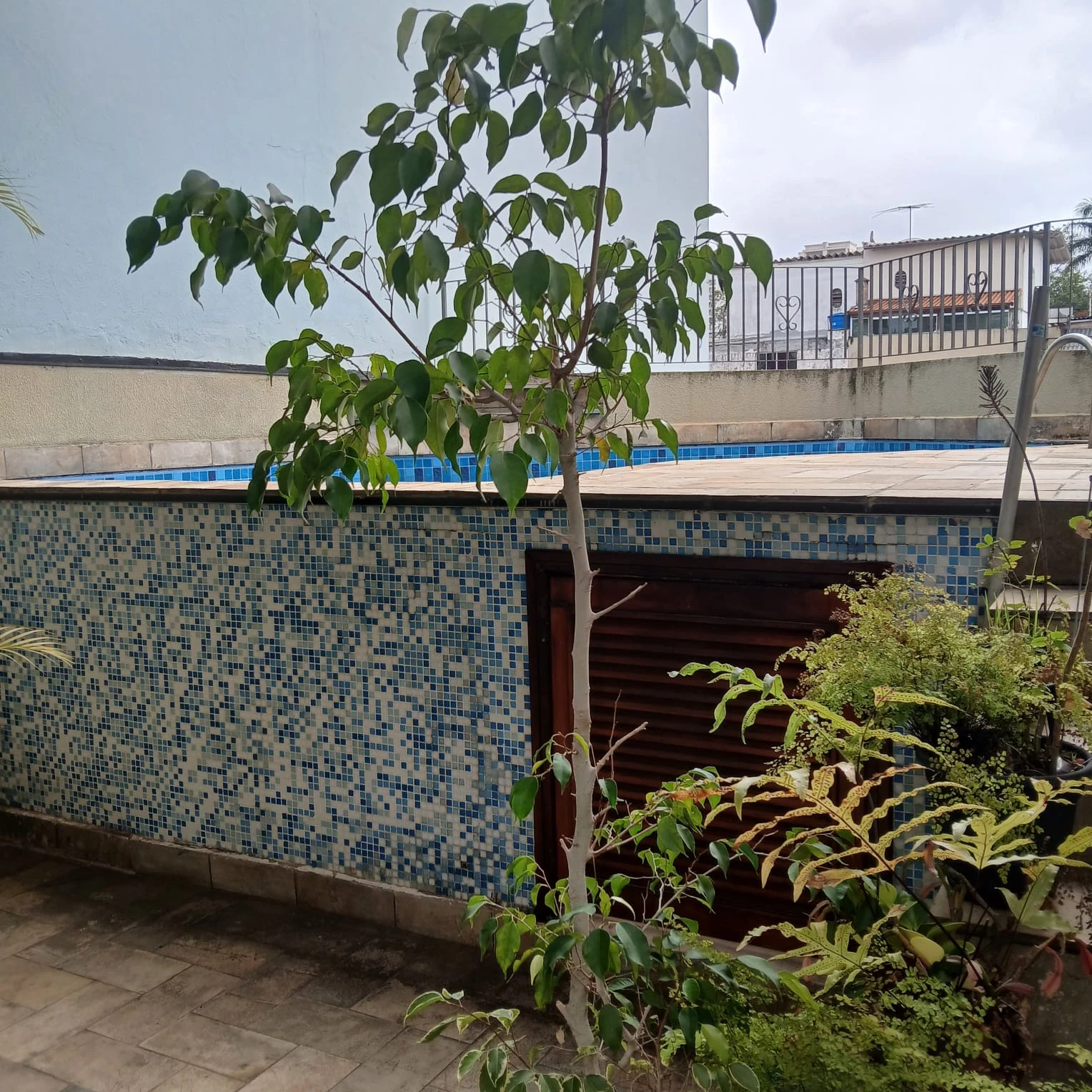 Foto do imóvel: Sobrado com 3 Quartos à Venda, 259 m² em Nova Petrópolis - São Bernardo do Campo