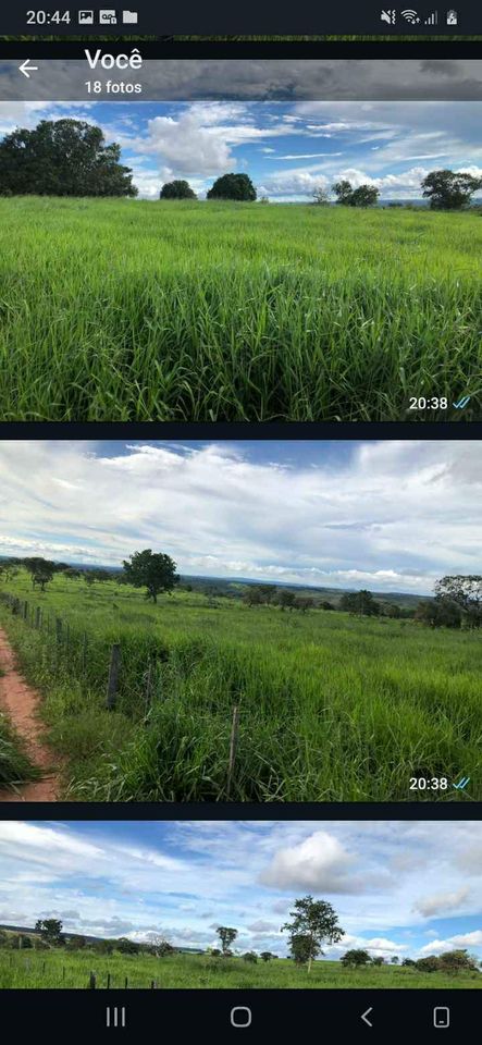 Imagem Fazenda à Venda, 1047 HA em ZONA RURAL - Guiratinga