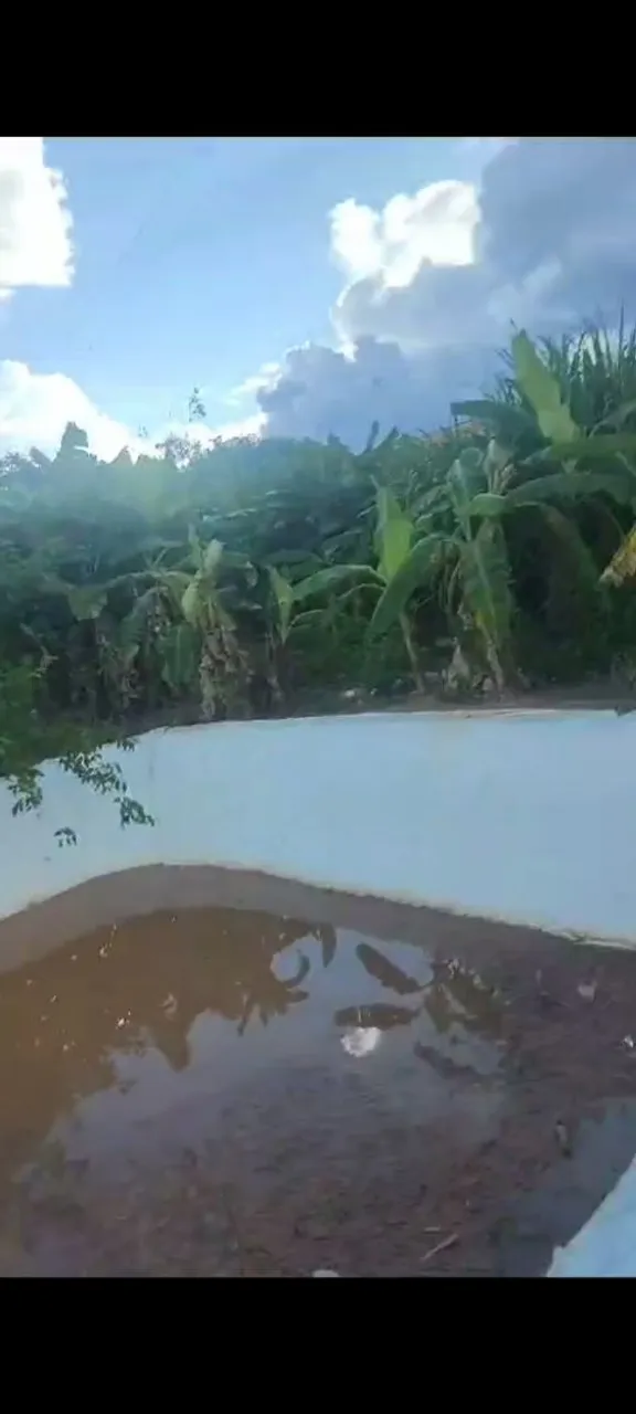 Imagem Fazenda à Venda, em Samambaia Sul (Samambaia) - Brasília