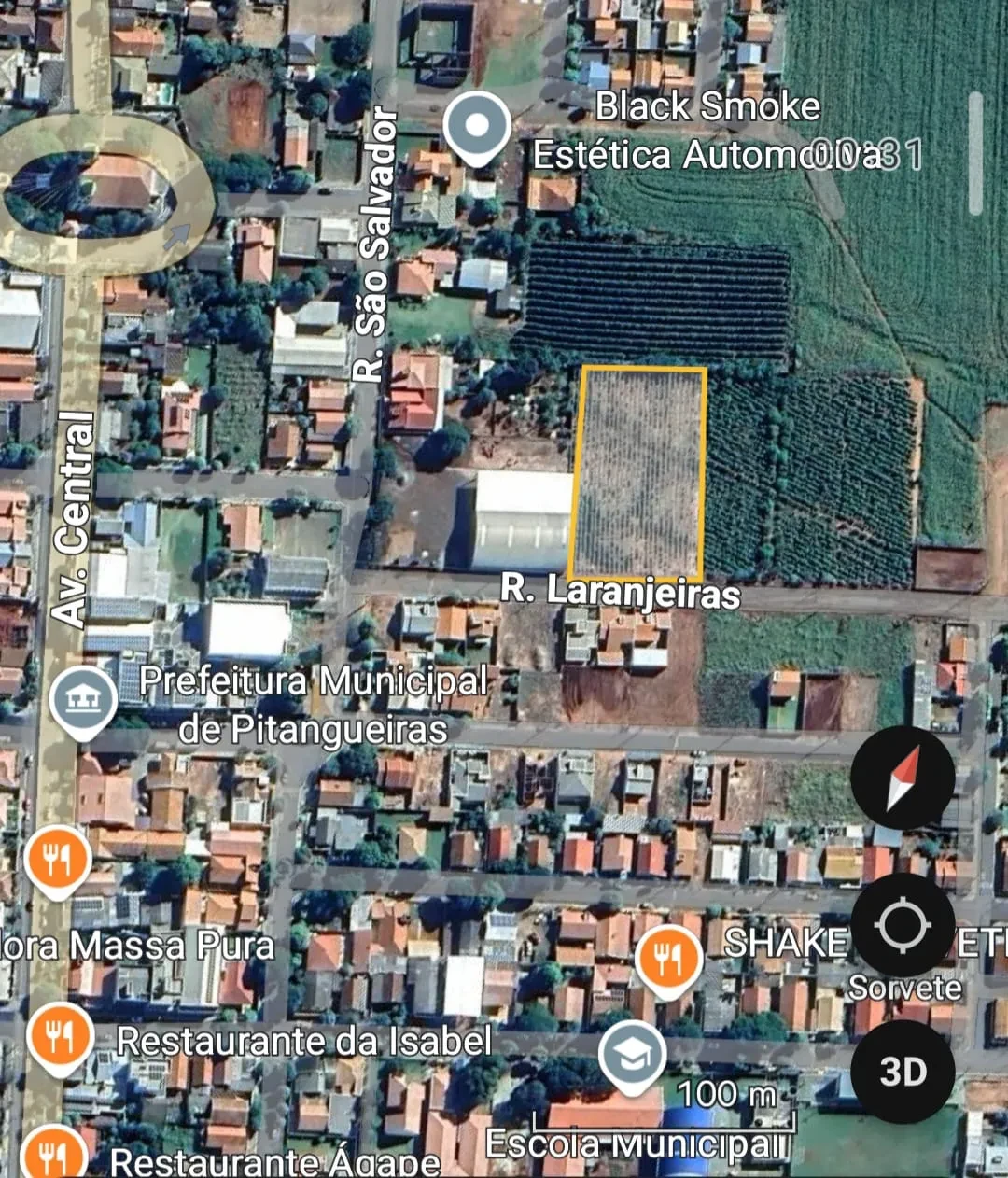 Imagem Chácara à Venda, 4000 m² em Pitangueiras - Pitangueiras