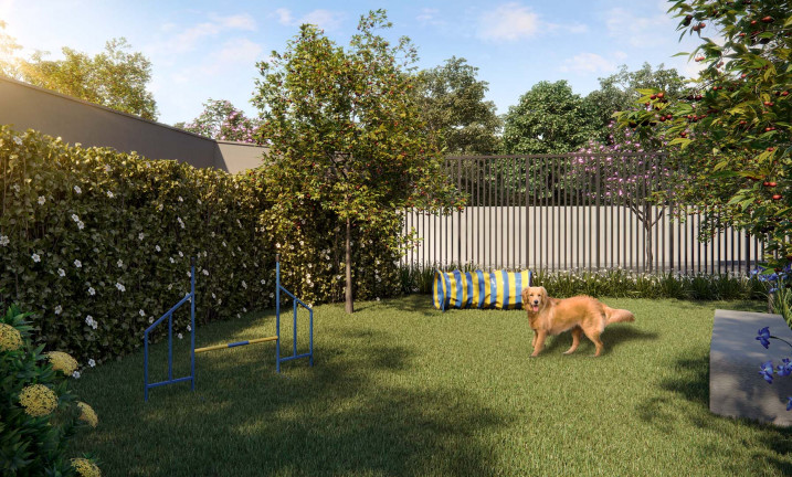 Imagem Apartamento com 3 Quartos à Venda, 79 m² em Vila Cruzeiro - São Paulo