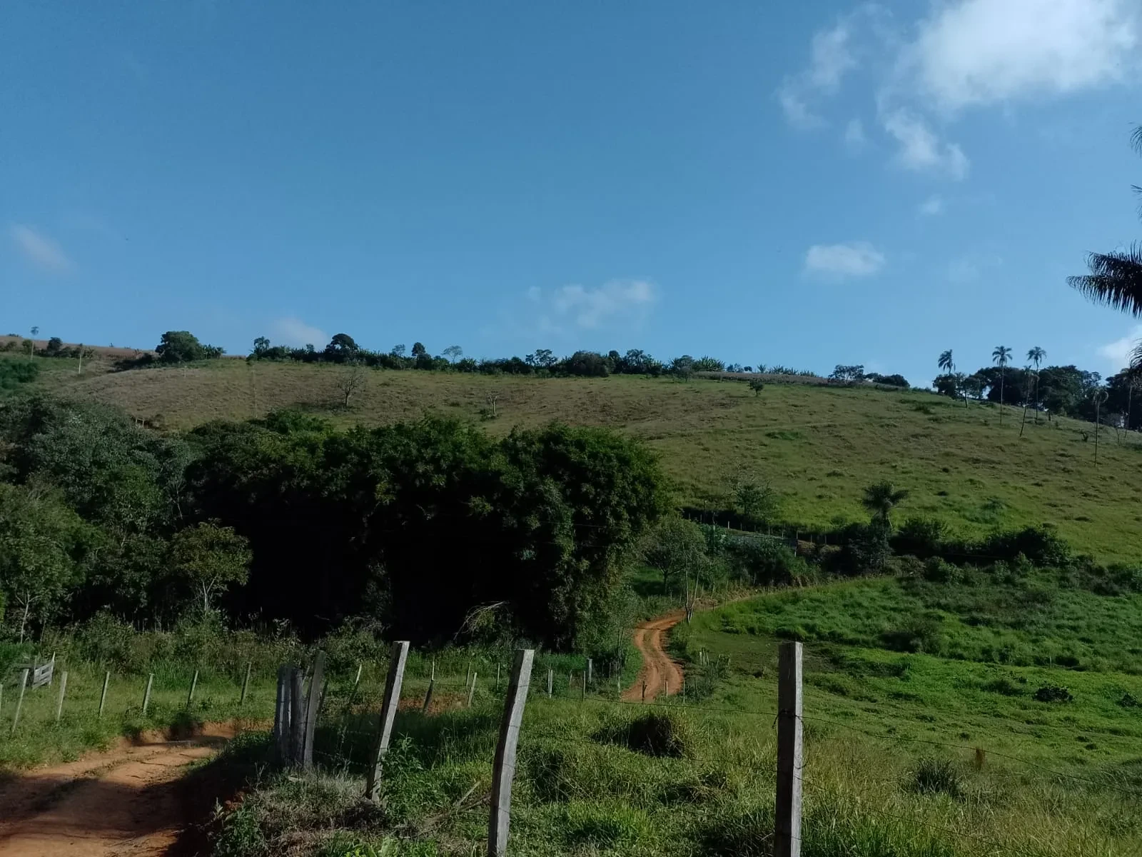 Fazenda à Venda, 5 Alq. MG em Bandeira do Sul - Bandeira do Sul