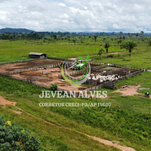Foto do imóvel: Fazenda à Venda, 4 m²em Centro  - São Félix do Xingu