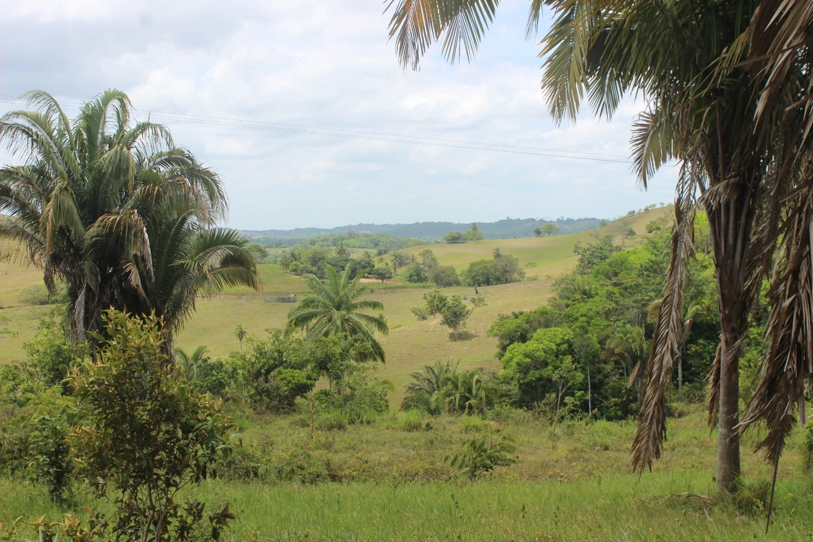 Foto do imóvel: Chácara com 2 Quartos à Venda, 20100 m² em Mata de São João - Mata de São João