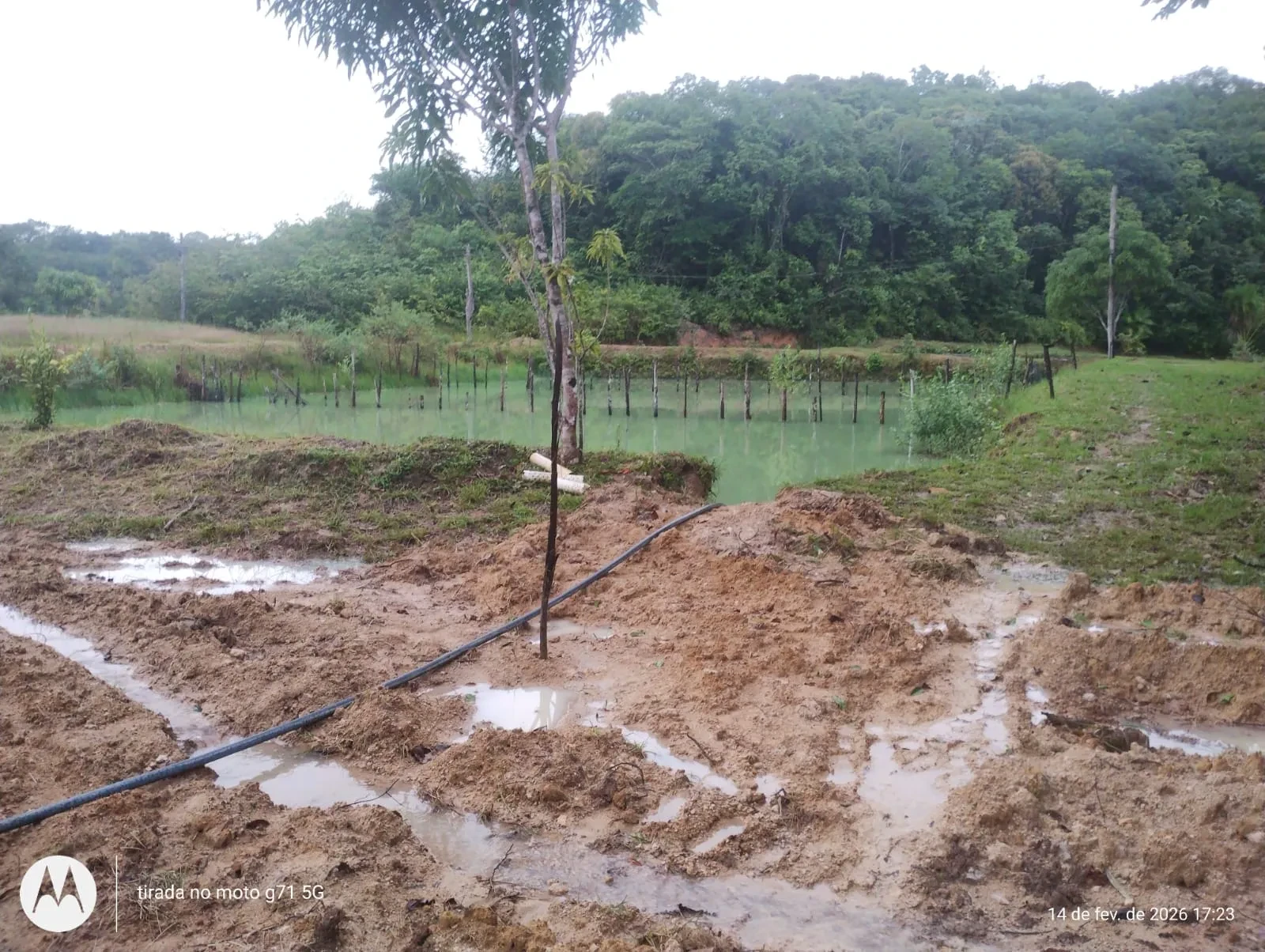 Imagem Fazenda à Venda, 46 HA em Acará - Acará