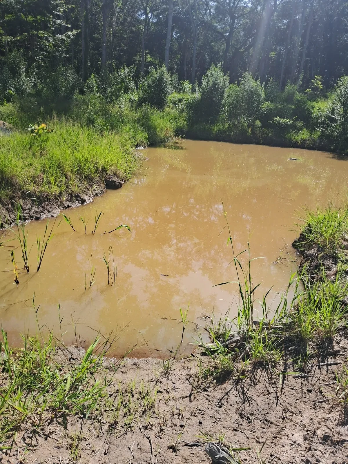 Imagem Chácara à Venda, 25000 m² em Poção - Cuiabá