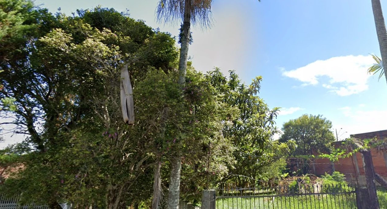 Imagem Terreno à Venda, 16 HA em Capoeiras - Florianópolis