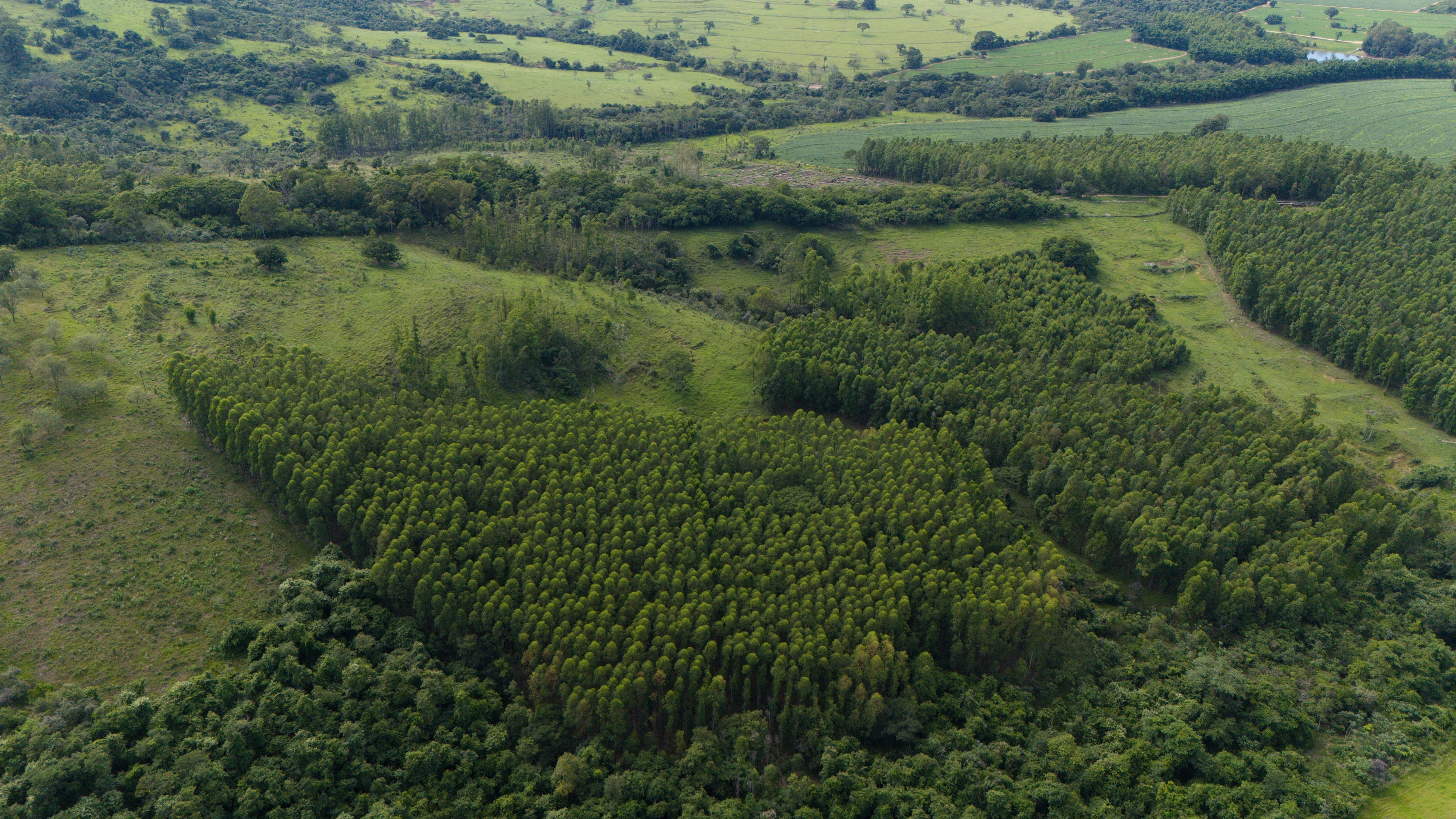 Imagem Fazenda à Venda, 138 HA em Área Rural de Echaporã - Echaporã