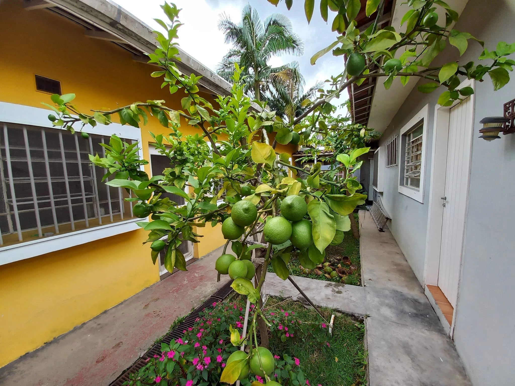 Imagem Casa com 3 Quartos à Venda, 244 m² em Vila Cordeiro - São Paulo