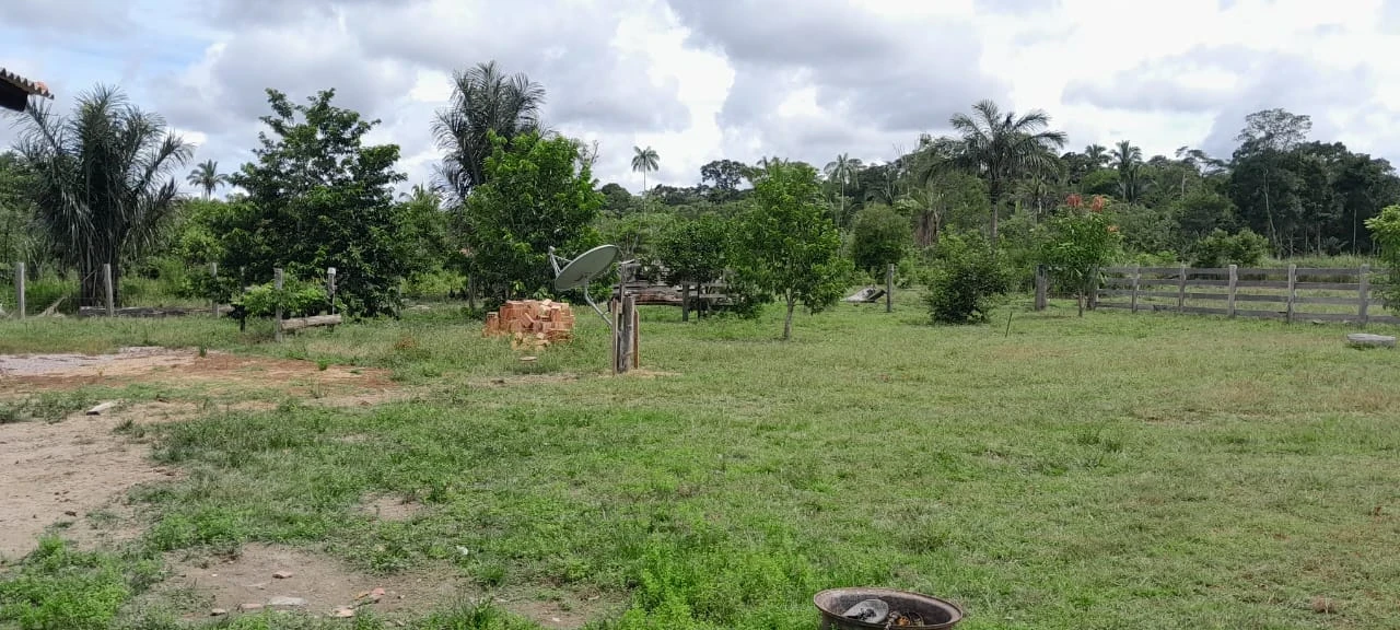 Imagem Fazenda à Venda, 560 HA em Canutama - Canutama