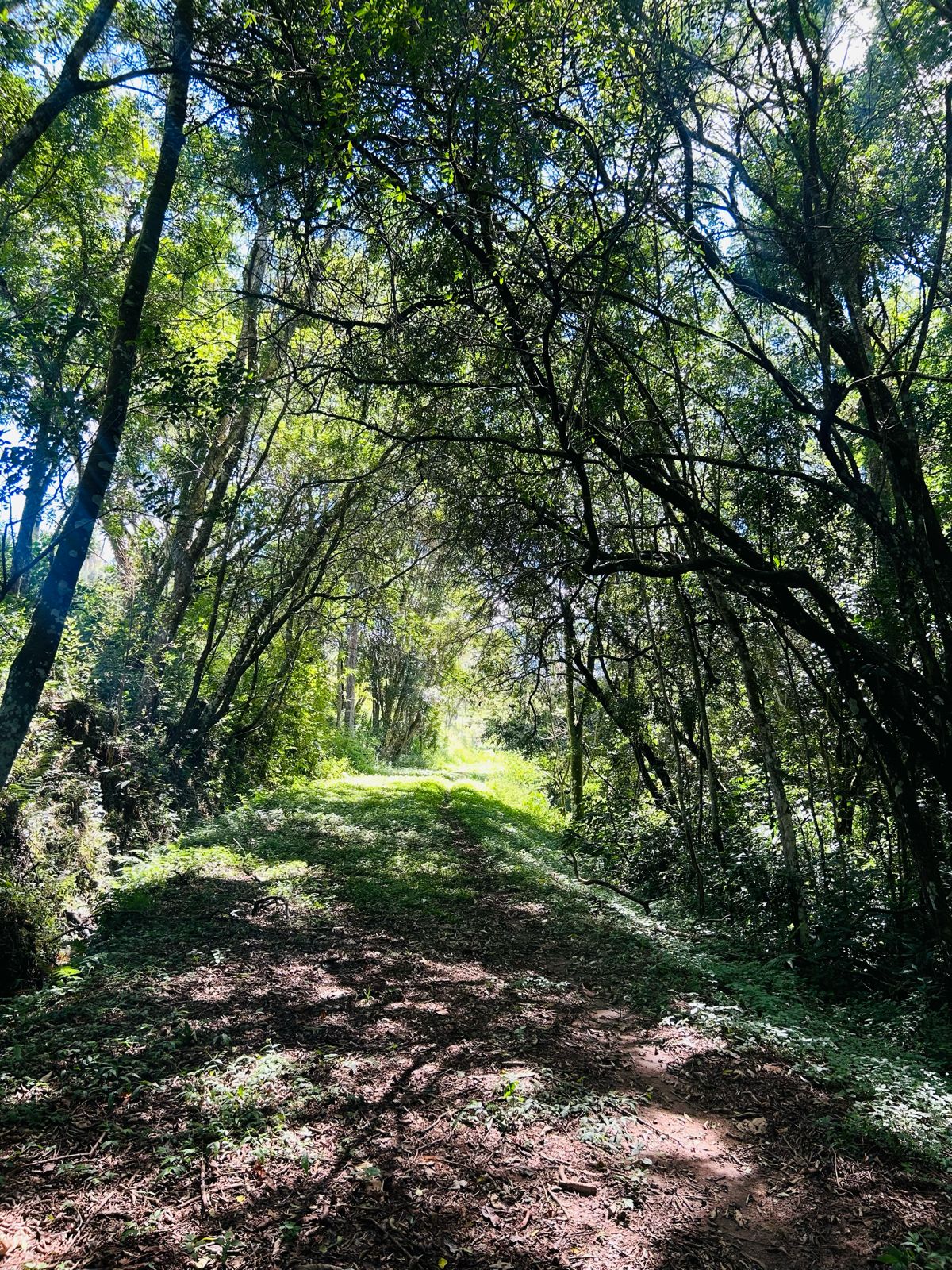 Imagem Terreno à Venda, 500 m²em Lageadinho - Ibiúna