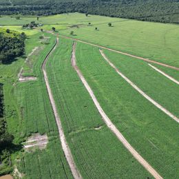 Imagem Fazenda à Venda, 100 m²em ZONA RURAL - São Miguel do Araguaia
