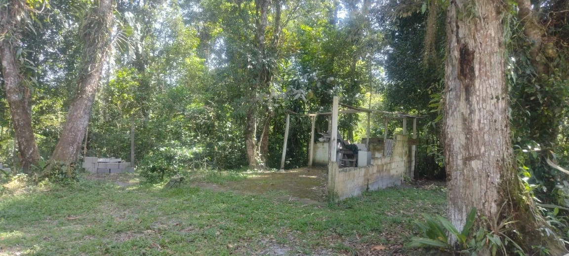 Imagem Chácara com 2 Quartos à Venda, 75 m² em Jardim Coronel - Itanhaém