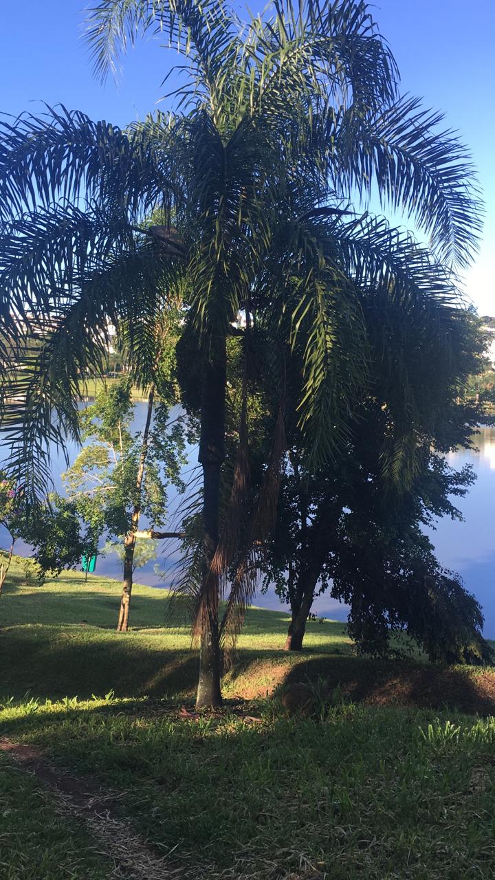 Imagem Terreno em Condomínio à Venda, 720 m² em Condomínio Reserva da Serra - Jundiaí