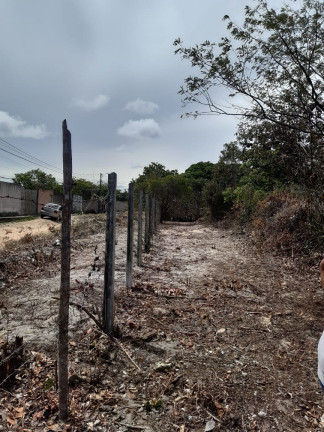 Imagem Terreno à Venda, 2 m²em Parque das Árvores - Parnamirim