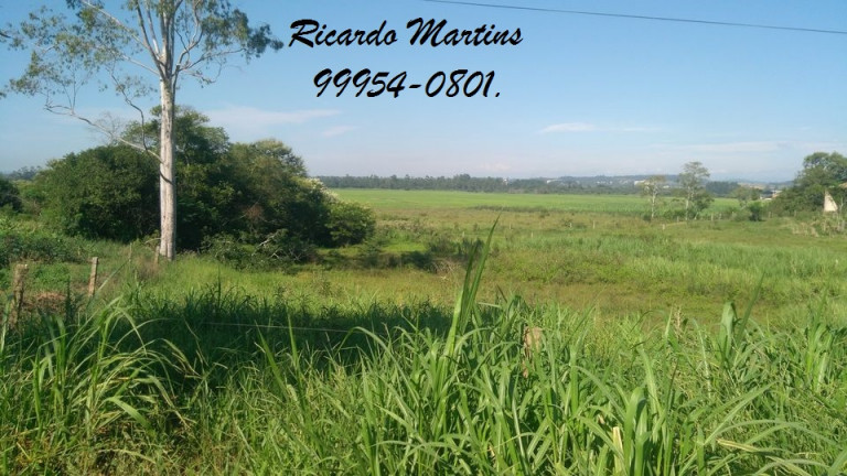 Imagem Terreno à Venda, 25.000 m² em Rio Vargedo - Treze de Maio