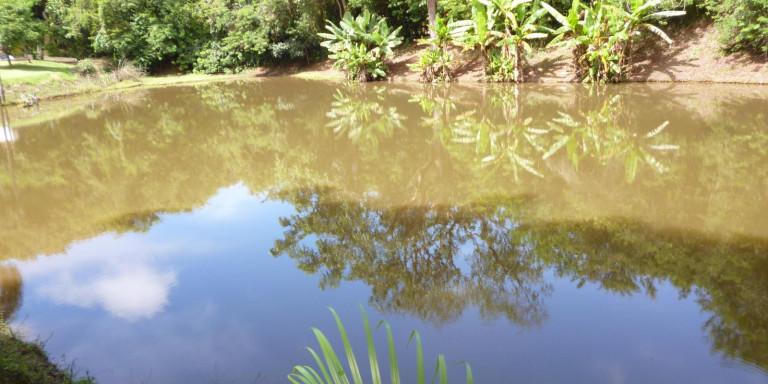 Imagem Chácara com 2 Quartos à Venda, 9.000 m² em Centro - Santa Isabel