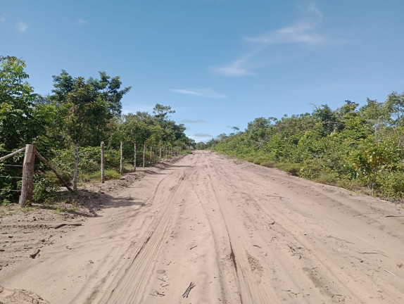 Imagem Terreno à Venda, 44.200 m² em Centro - Santarém