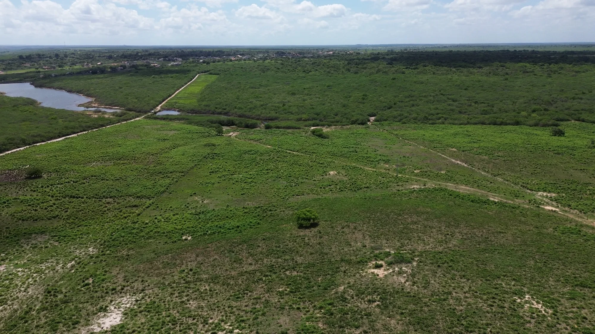 Foto do imóvel: Fazenda à Venda, 100 HA em Fabrício Pedroza - Macaíba