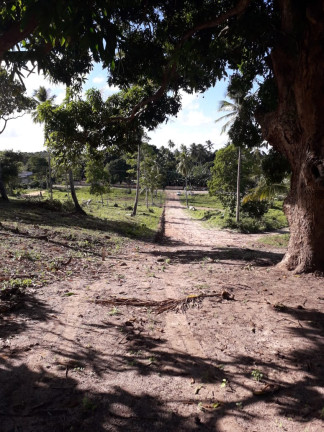 Imagem Terreno à Venda, 200 m²em Várzea da Meira (Monte Gordo) - Camaçari