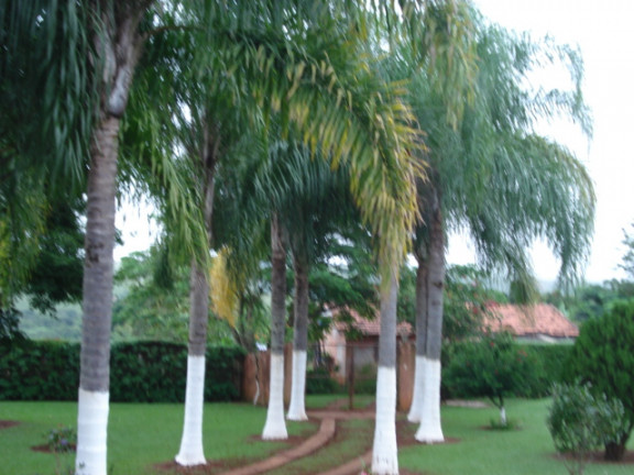 Imagem Chácara com 1 Quarto à Venda, 200 m² em Cercado - Araçoiaba da Serra